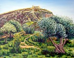 Castell del Montgr� i olivera