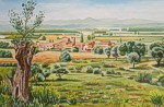 Paisatge d'Ull�