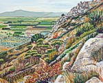 Vista pujant al Coll d'en Garrig�s